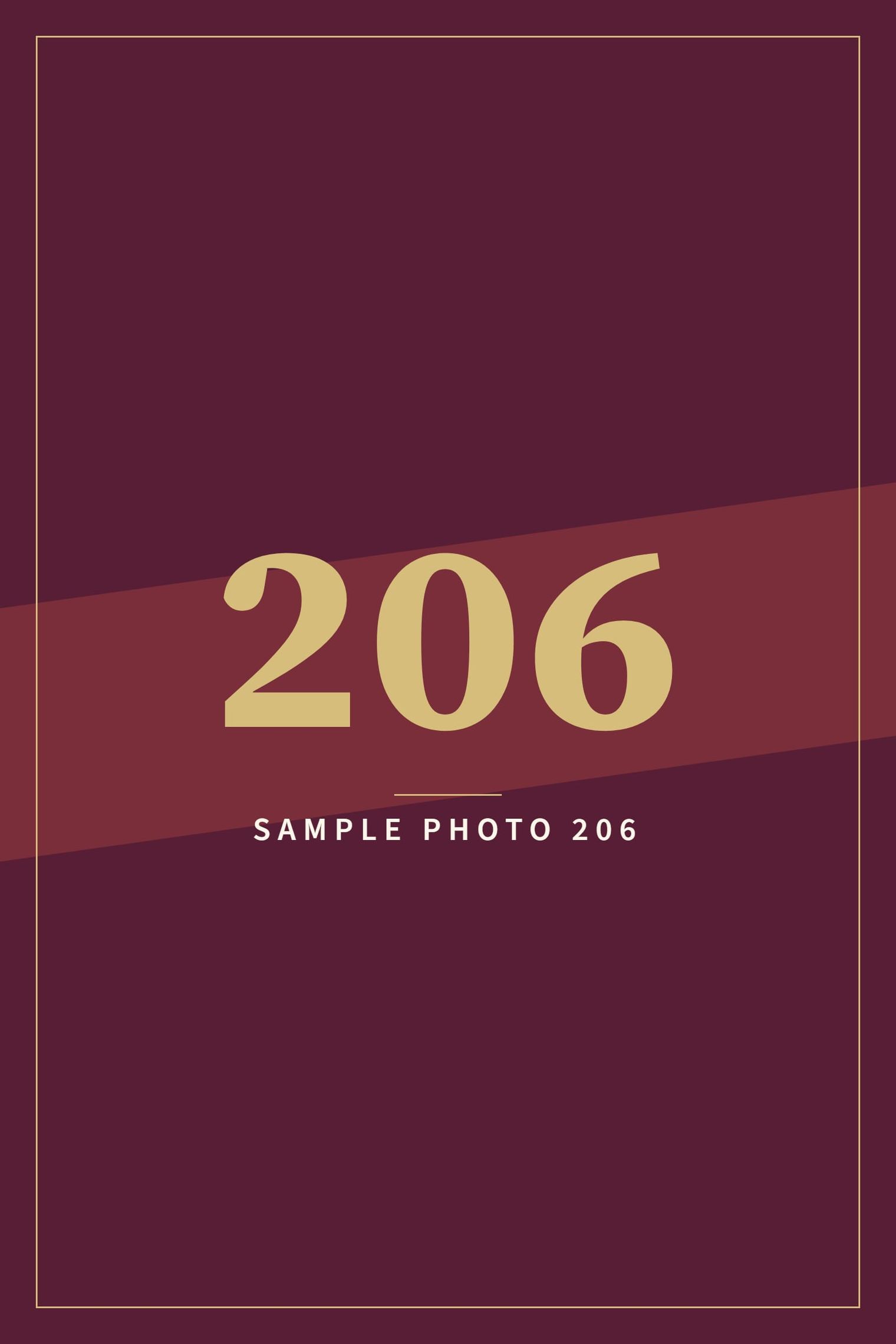 A sample image in the AFCO 5:20 colors that reads Sample Photo 206.