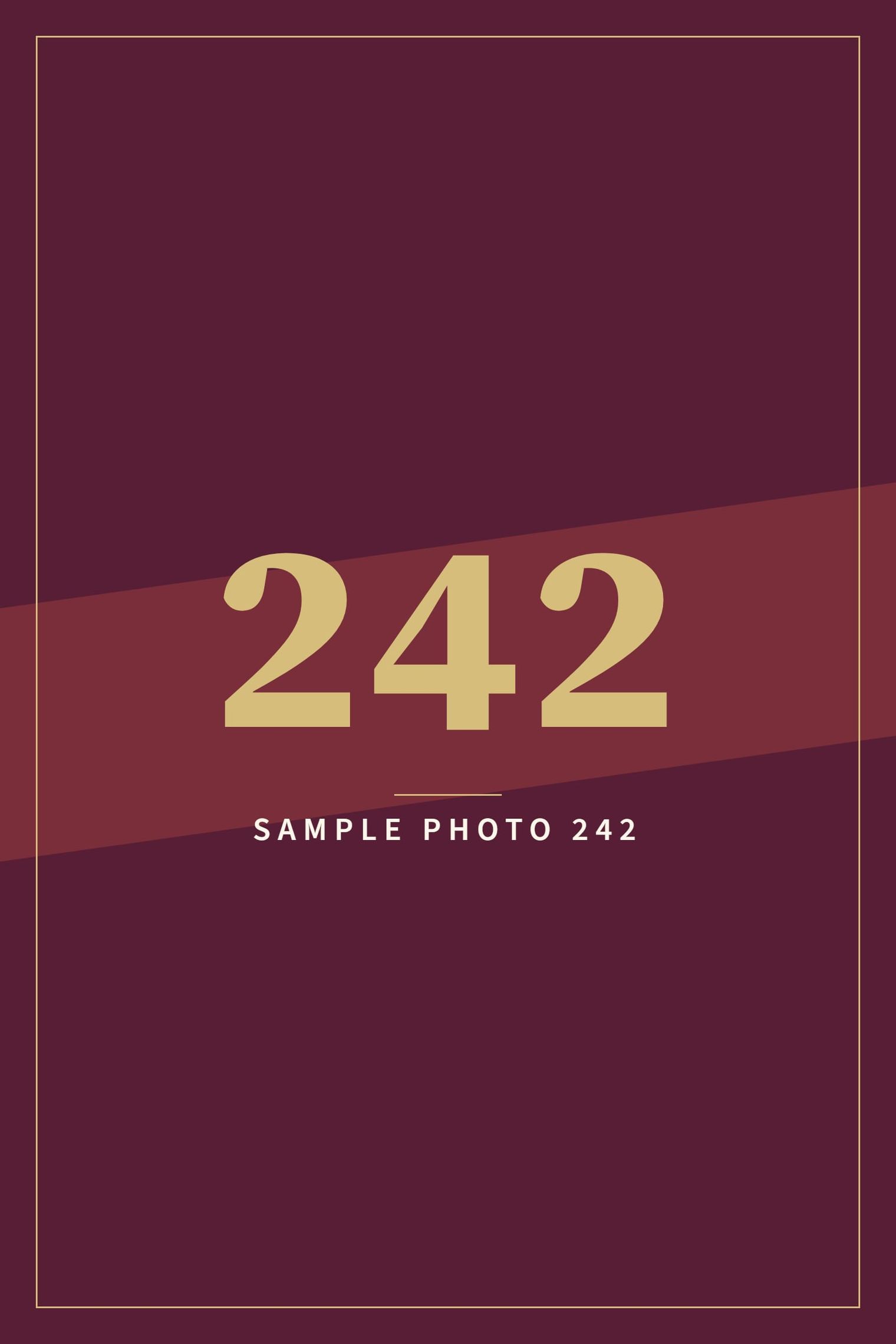 A sample image in the AFCO 5:20 colors that reads Sample Photo 242.