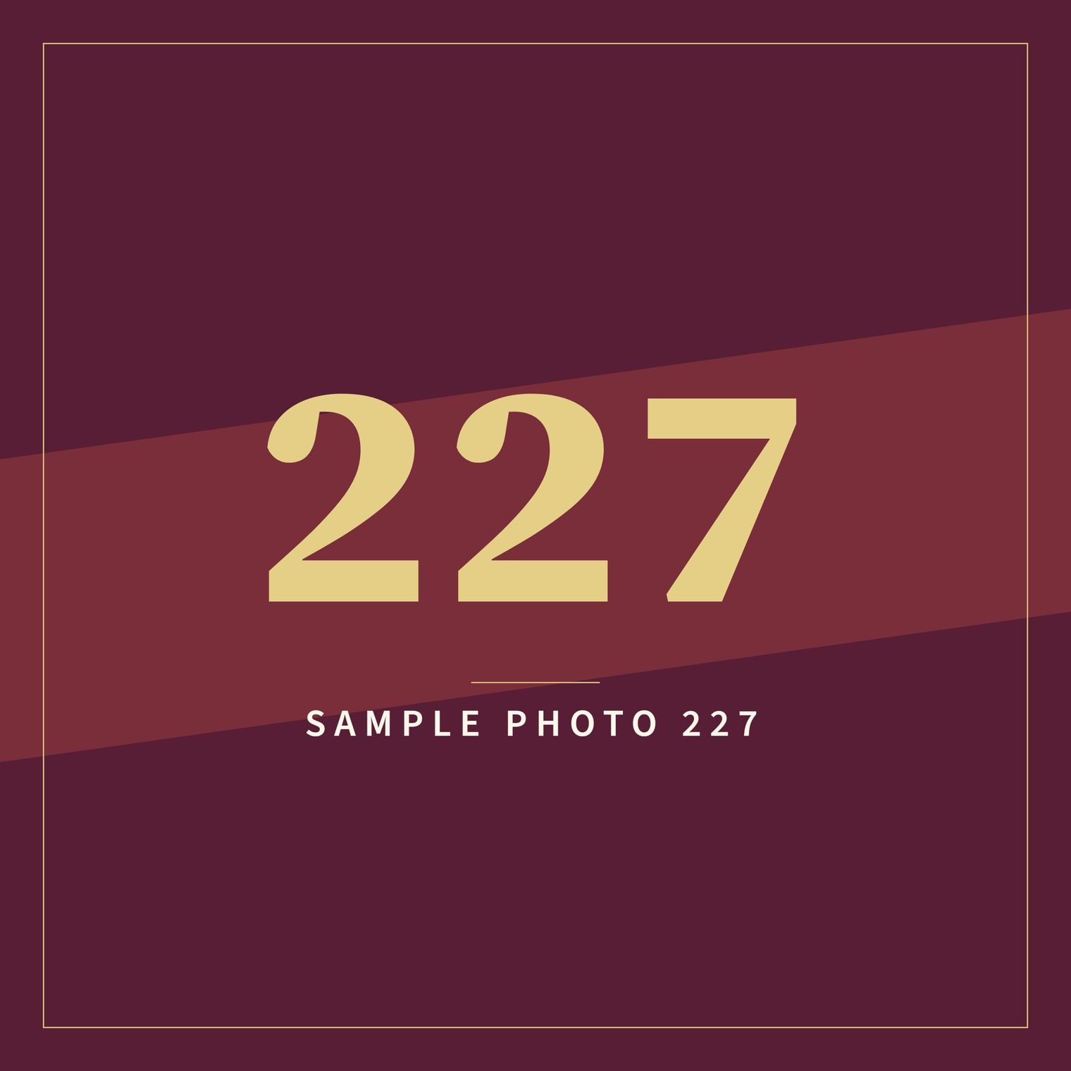 A sample image in the AFCO 5:20 colors that reads Sample Photo 227.