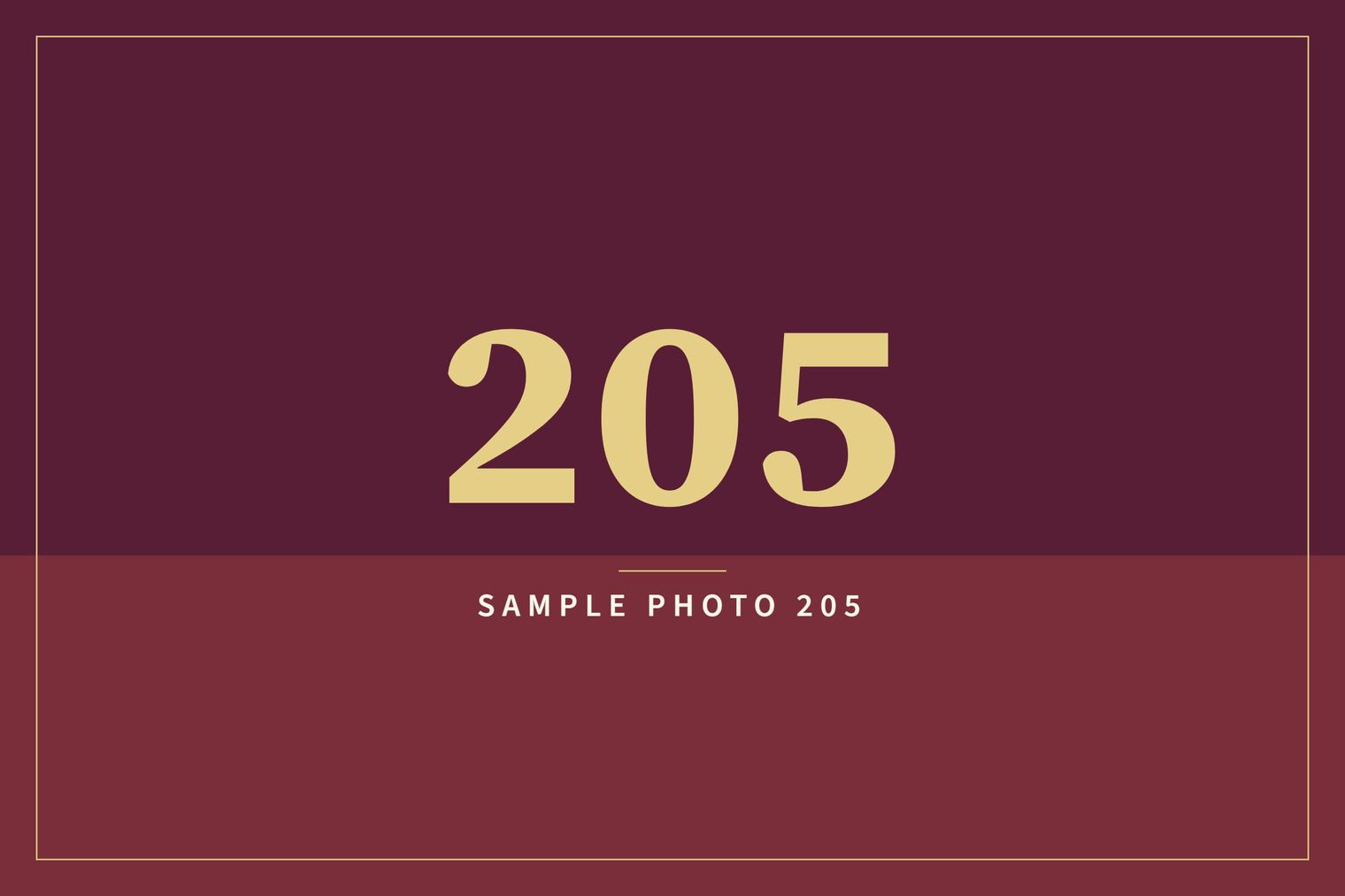 A sample image in the AFCO 5:20 colors that reads Sample Photo 205.