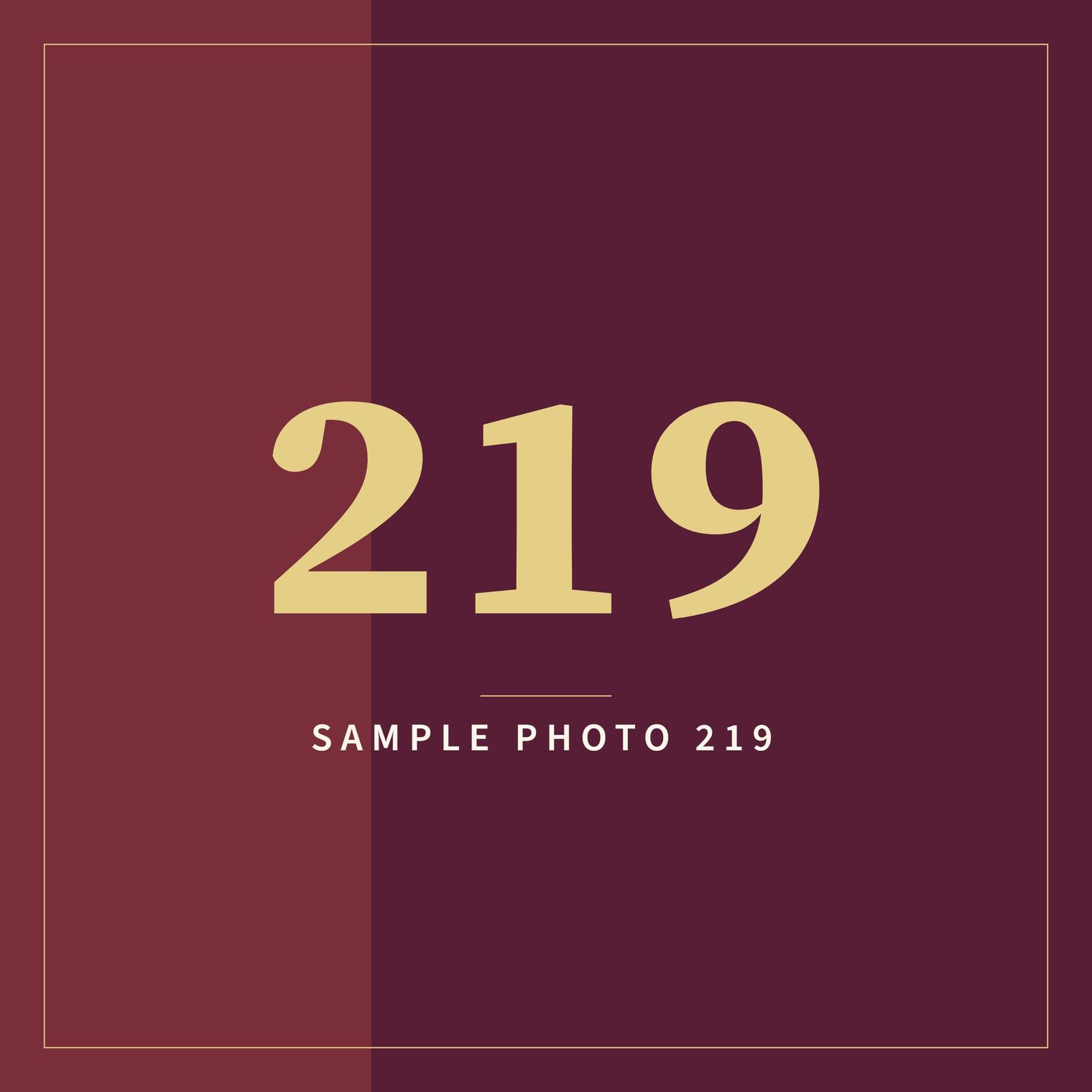 A sample image in the AFCO 5:20 colors that reads Sample Photo 219.