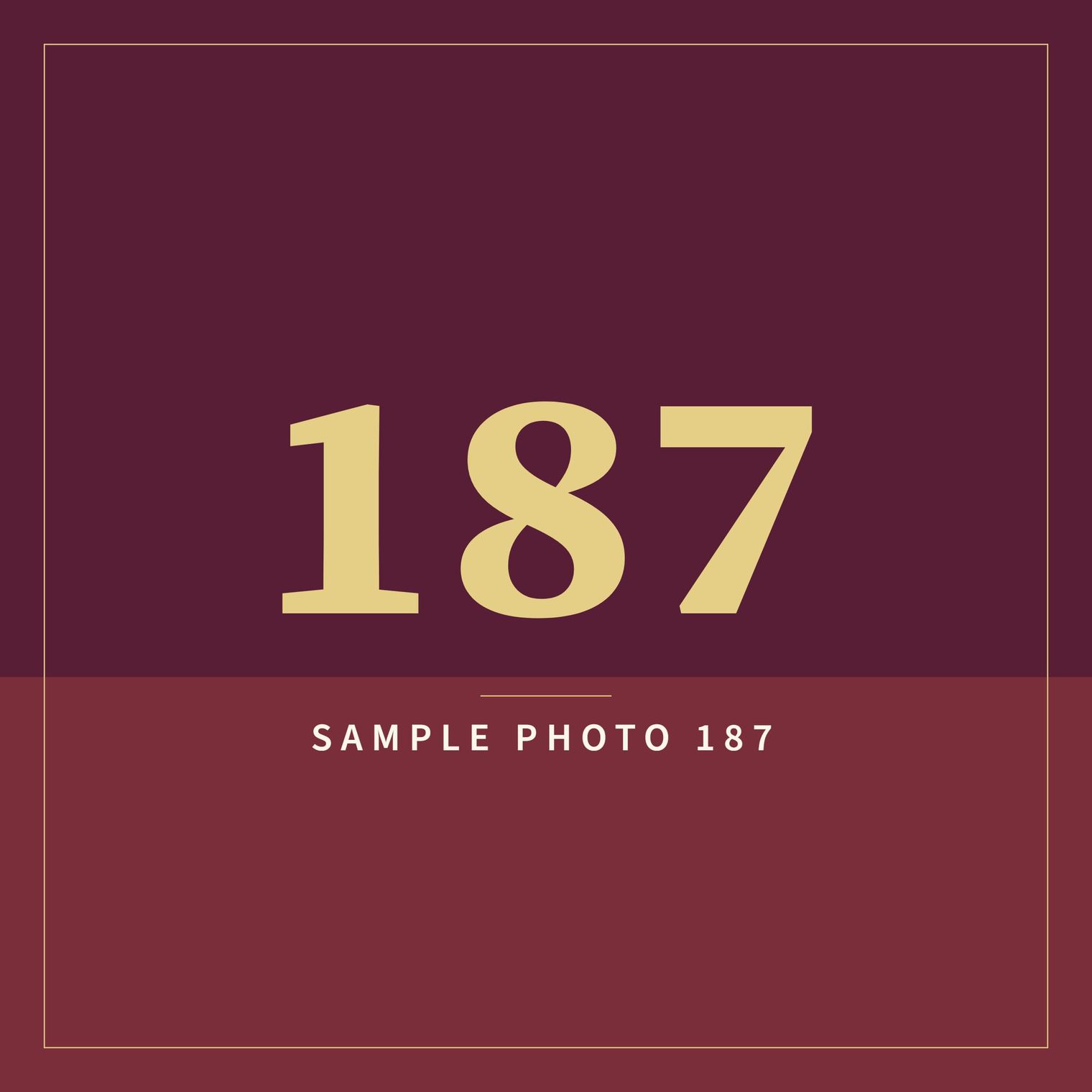 A sample image in the AFCO 5:20 colors that reads Sample Photo 187.