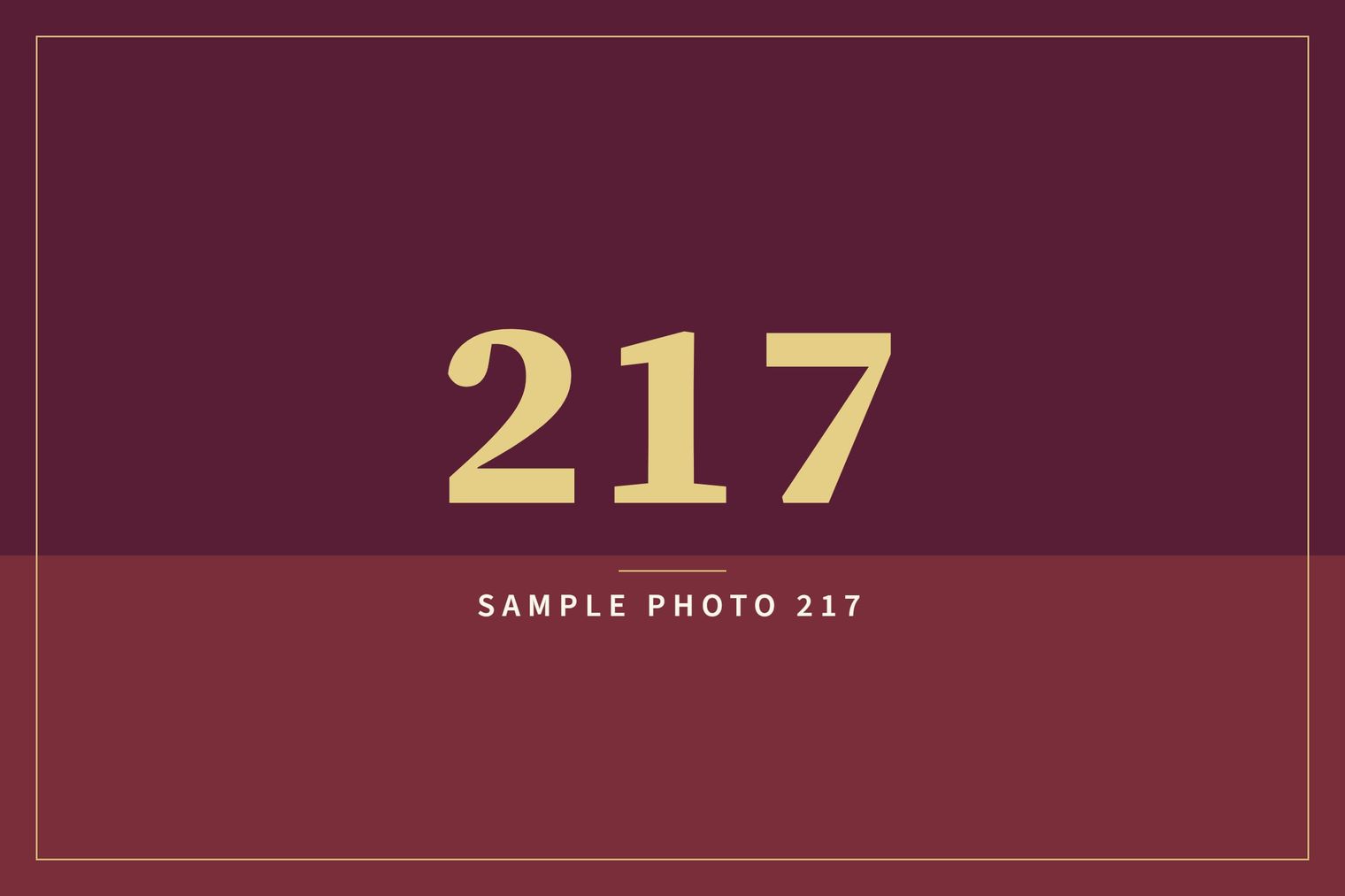 A sample image in the AFCO 5:20 colors that reads Sample Photo 217.