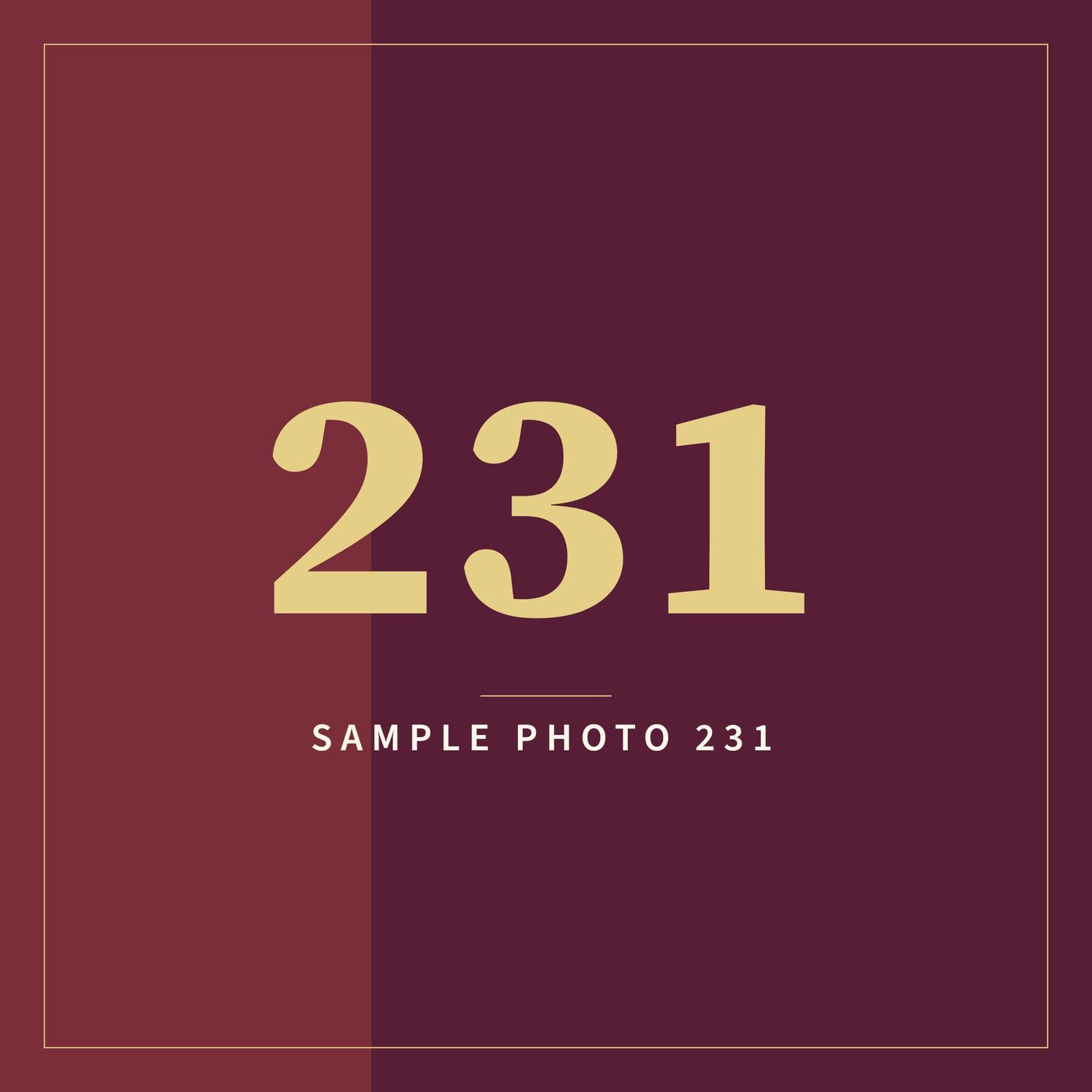 A sample image in the AFCO 5:20 colors that reads Sample Photo 231.