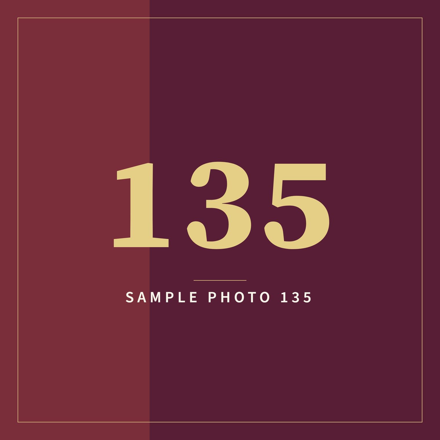 A sample image in the AFCO 5:20 colors that reads Sample Photo 135.