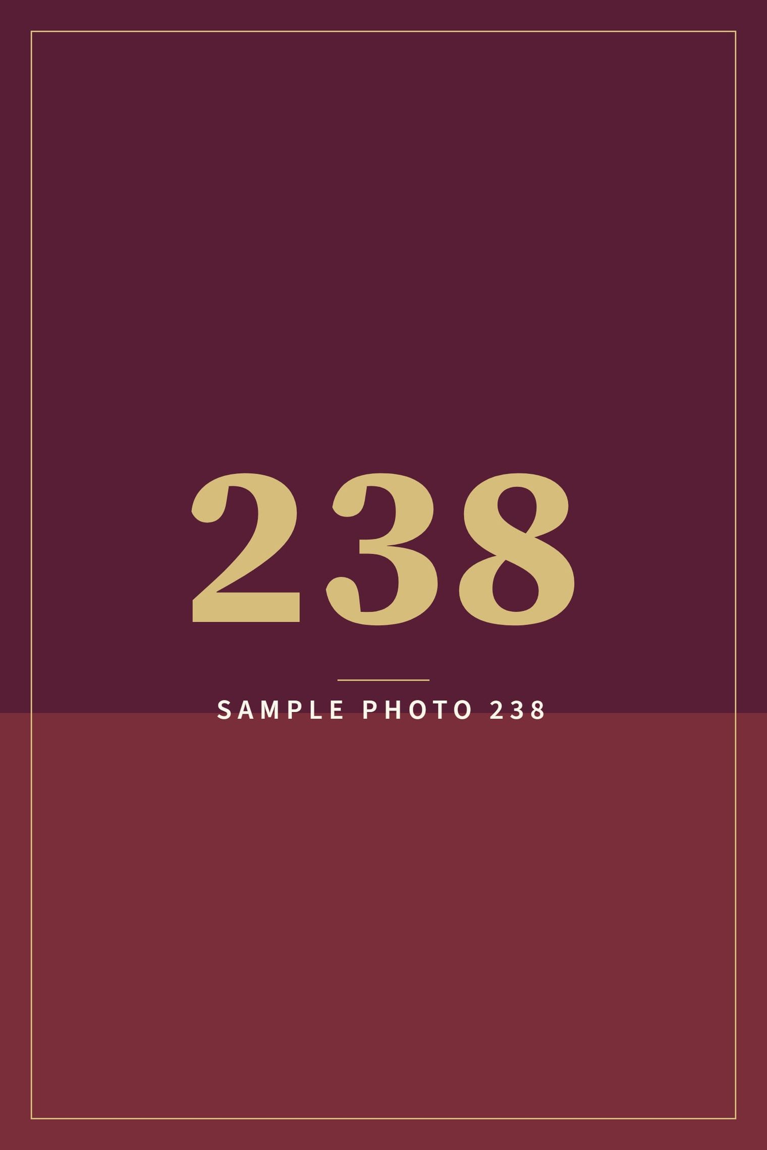 A sample image in the AFCO 5:20 colors that reads Sample Photo 238.
