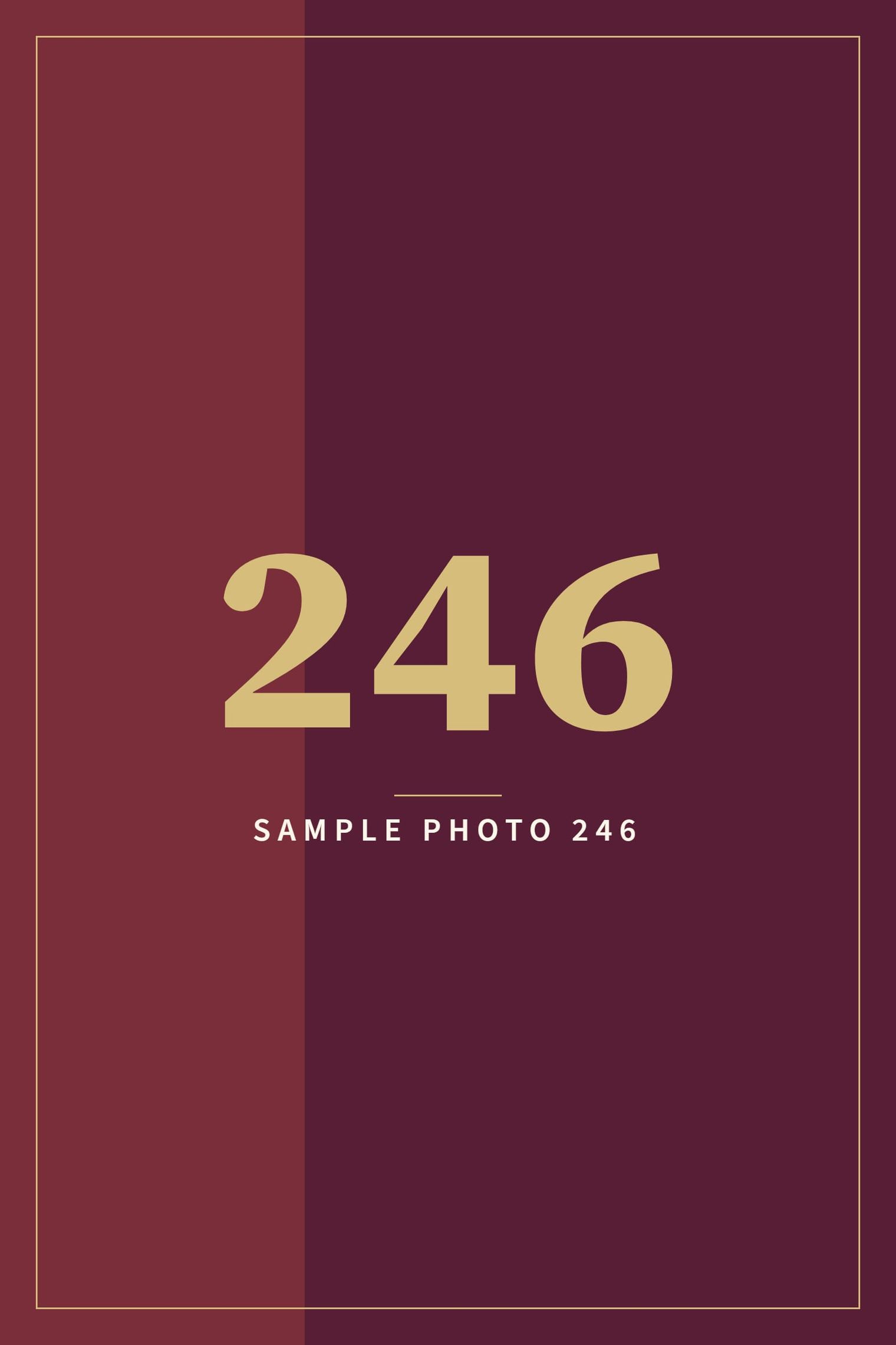 A sample image in the AFCO 5:20 colors that reads Sample Photo 246.