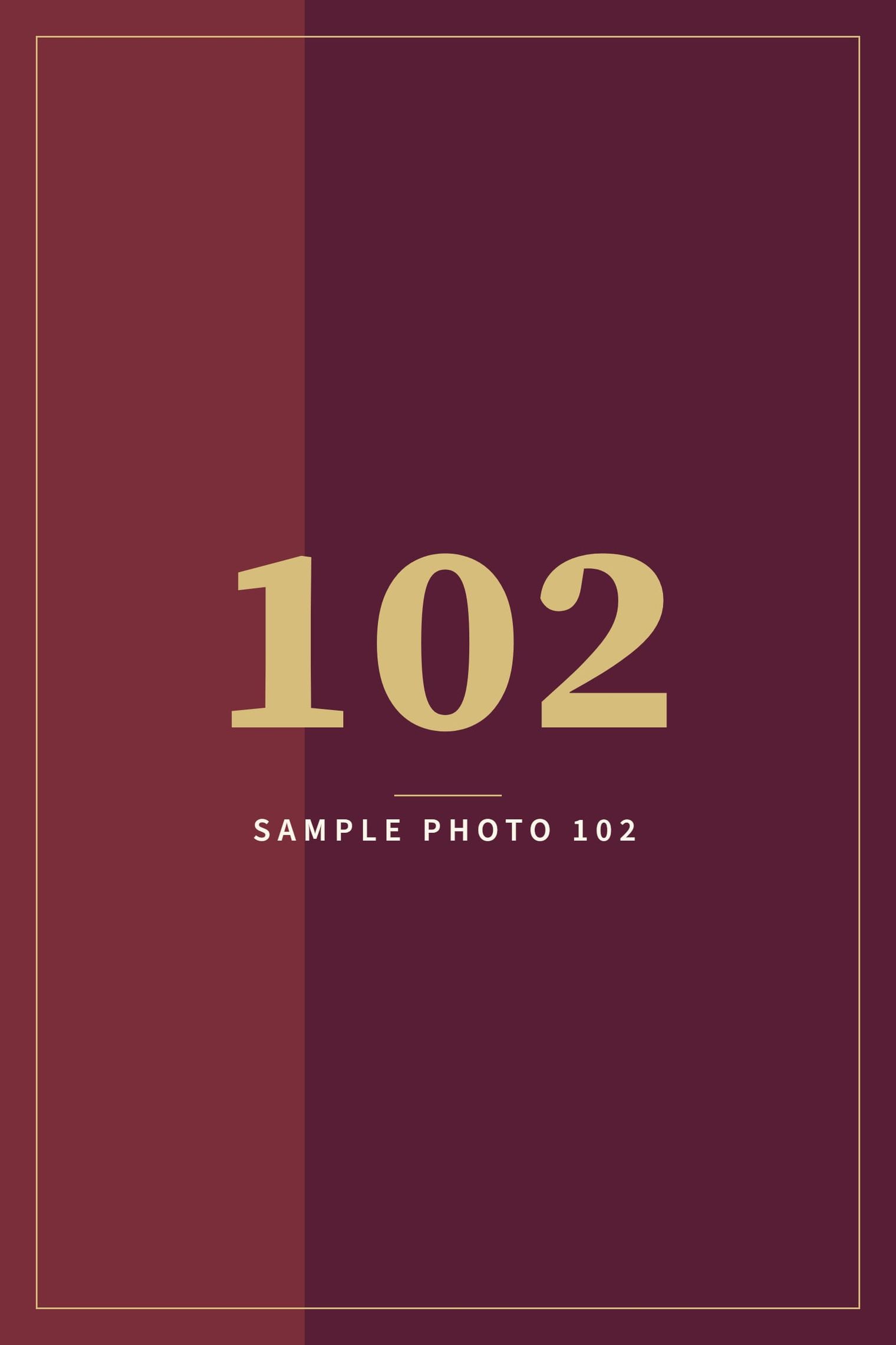 A sample image in the AFCO 5:20 colors that reads Sample Photo 102.