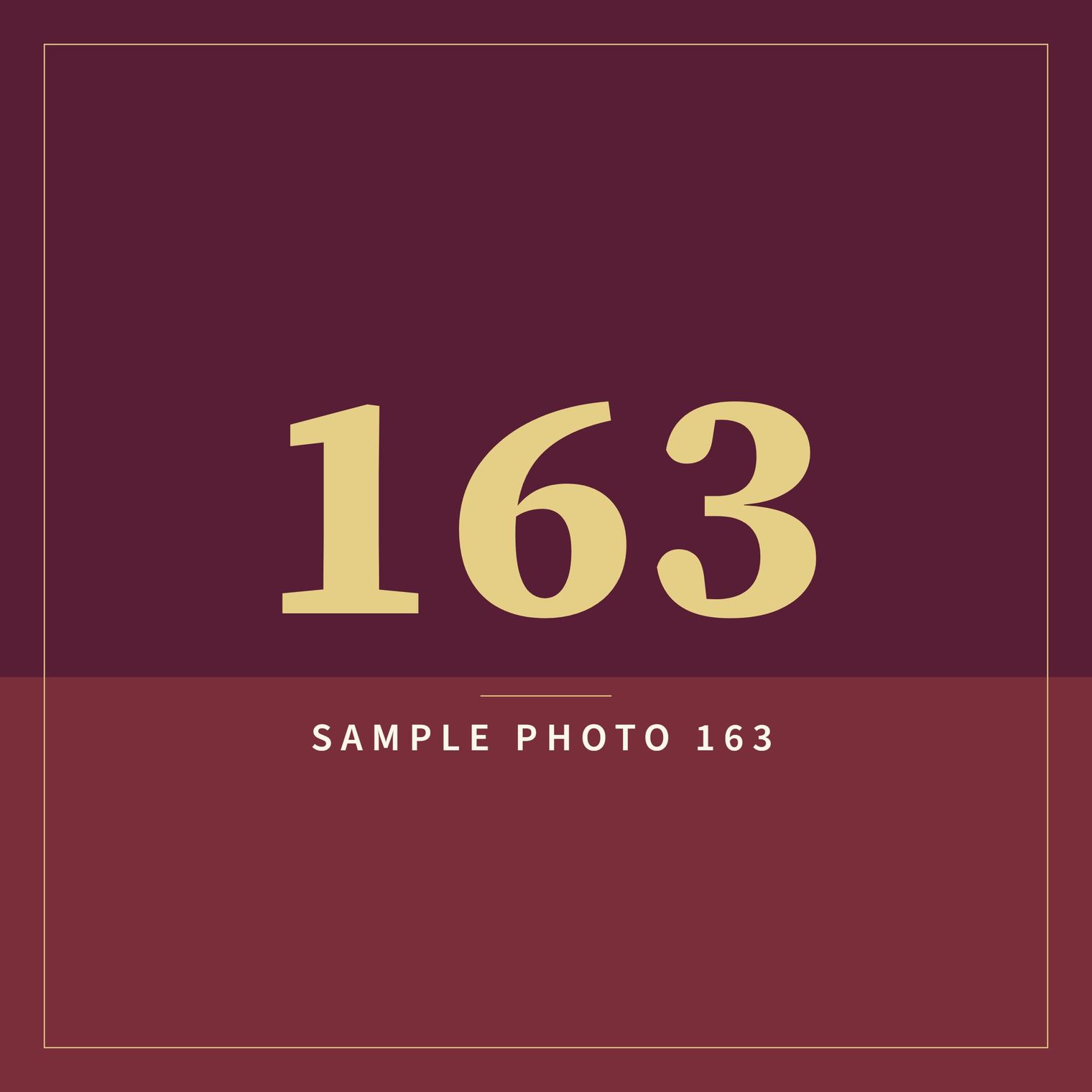 A sample image in the AFCO 5:20 colors that reads Sample Photo 163.