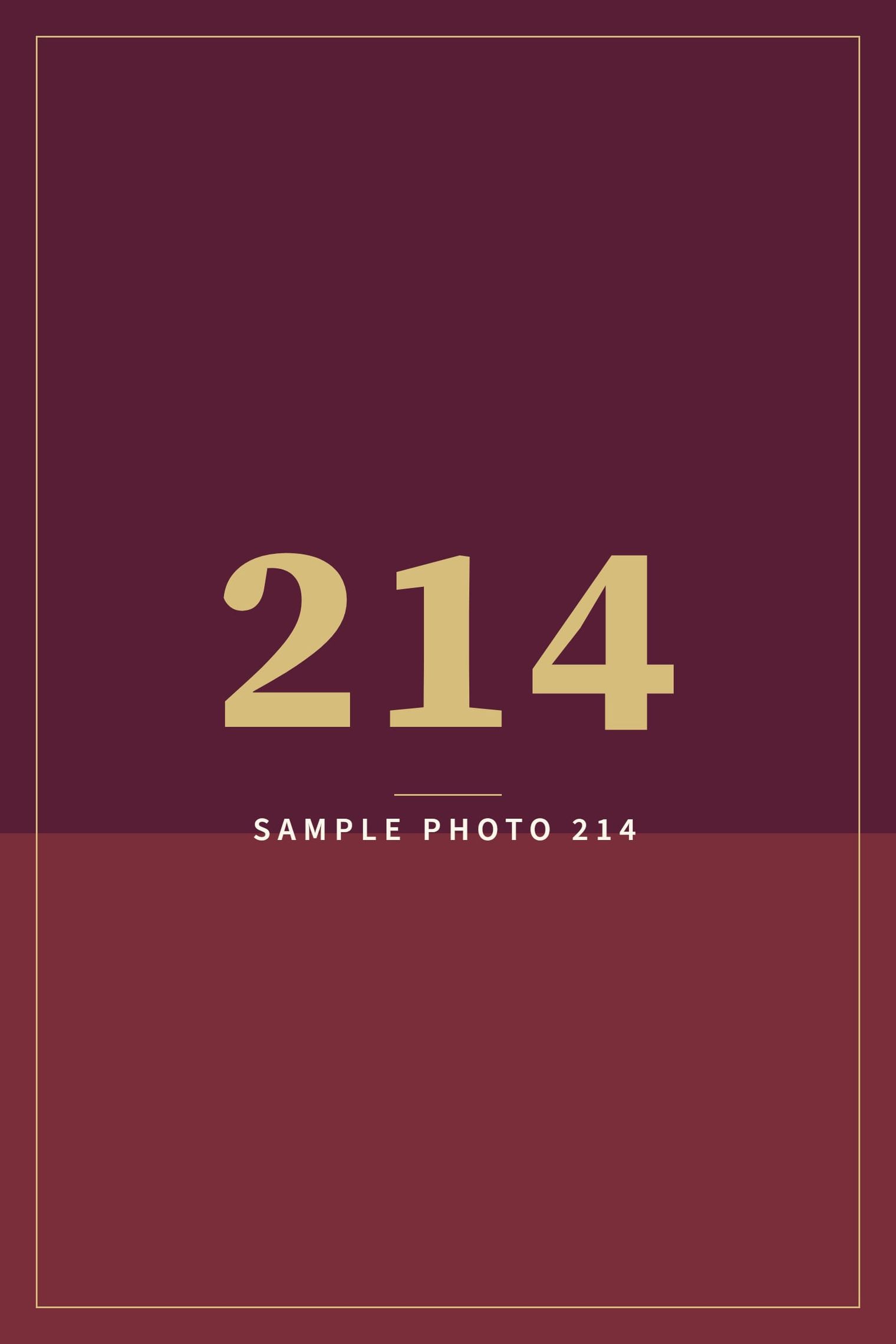 A sample image in the AFCO 5:20 colors that reads Sample Photo 214.
