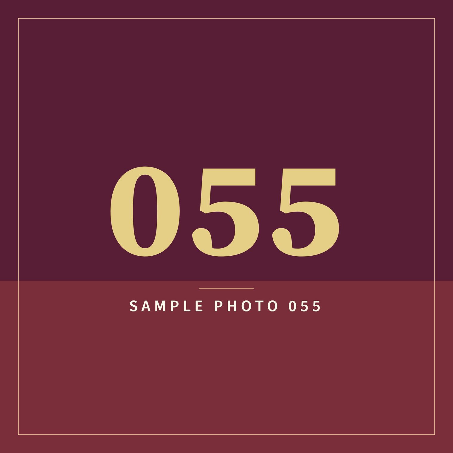 A sample image in the AFCO 5:20 colors that reads Sample Photo 055.