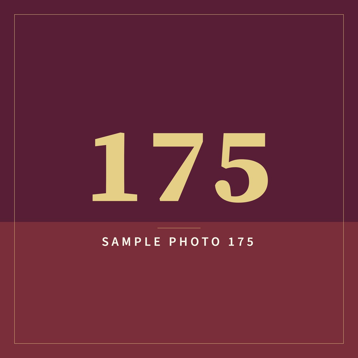 A sample image in the AFCO 5:20 colors that reads Sample Photo 175.