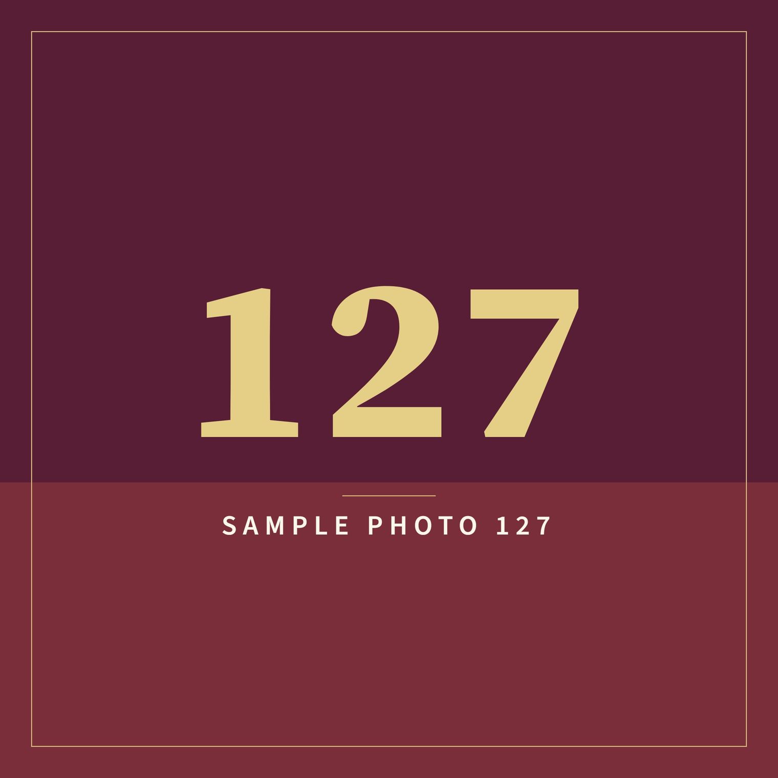 A sample image in the AFCO 5:20 colors that reads Sample Photo 127.