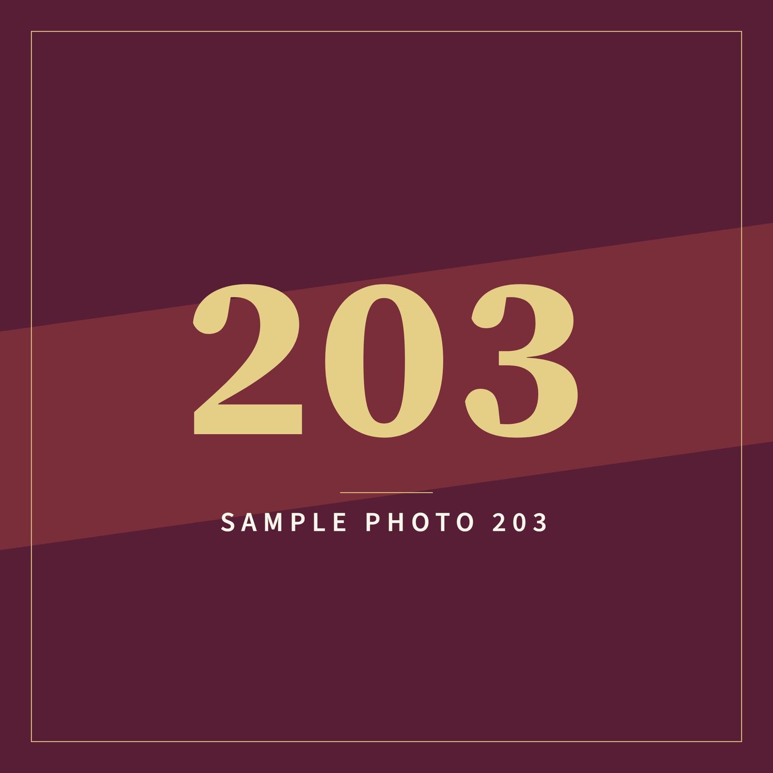 A sample image in the AFCO 5:20 colors that reads Sample Photo 203.