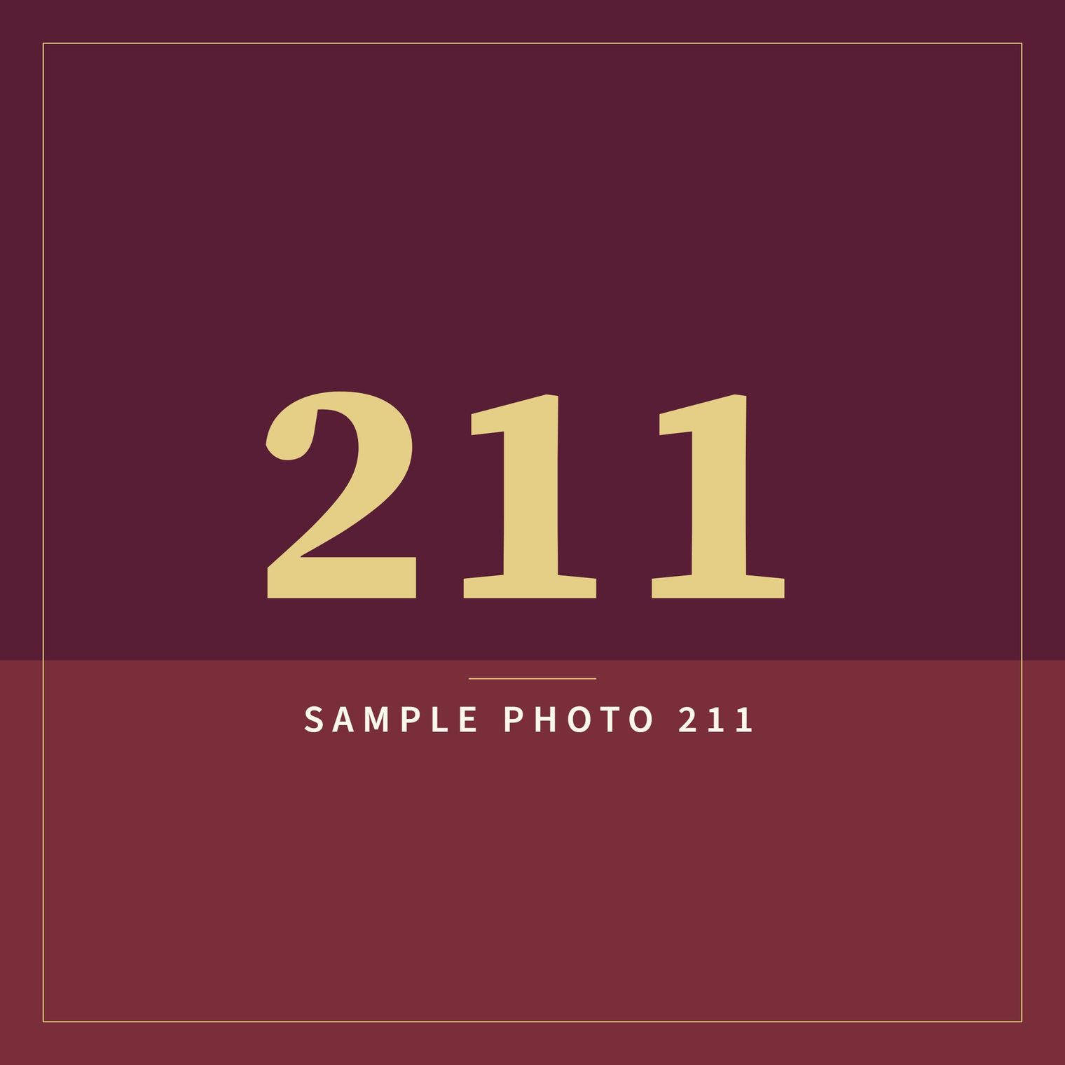 A sample image in the AFCO 5:20 colors that reads Sample Photo 211.