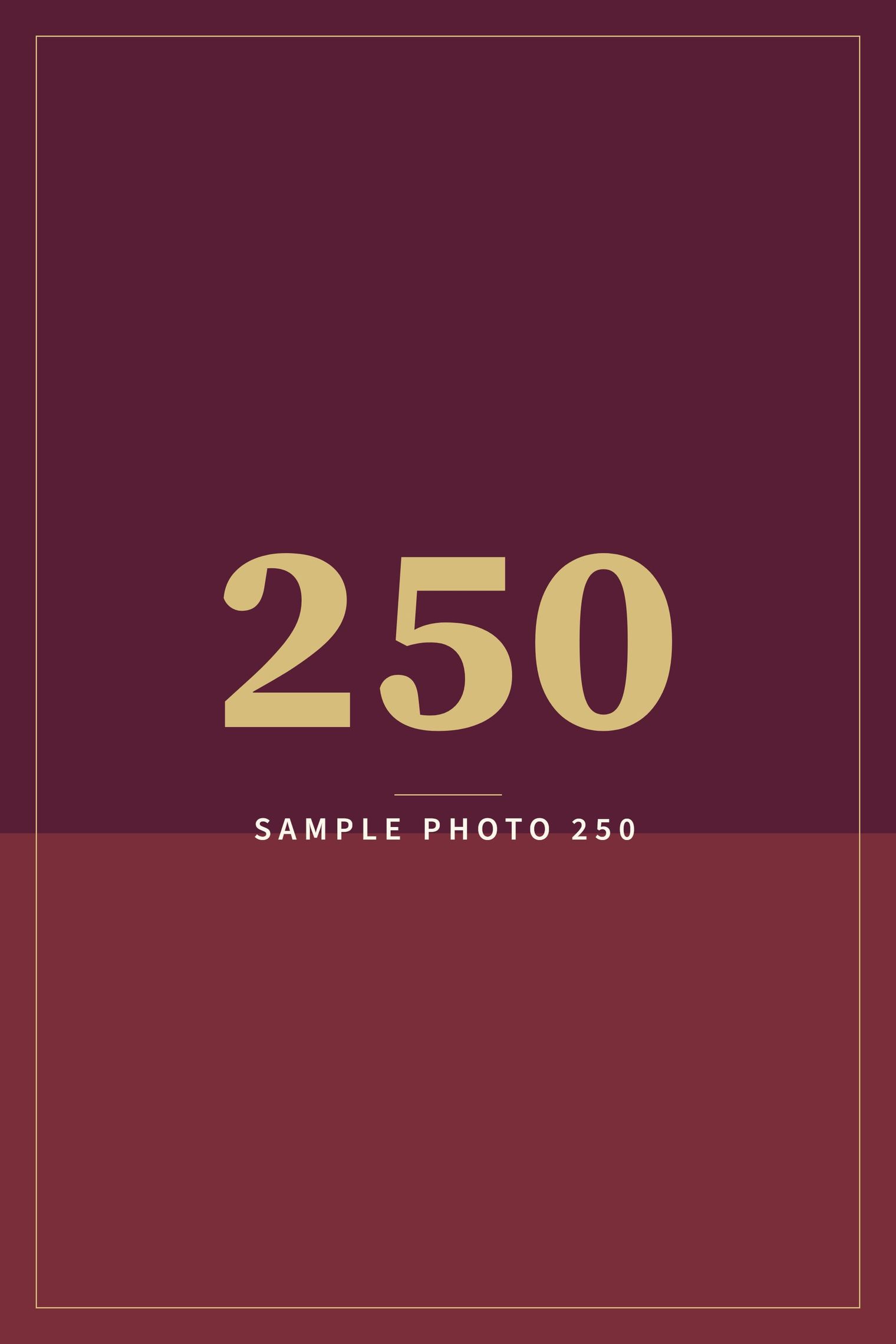 A sample image in the AFCO 5:20 colors that reads Sample Photo 250.