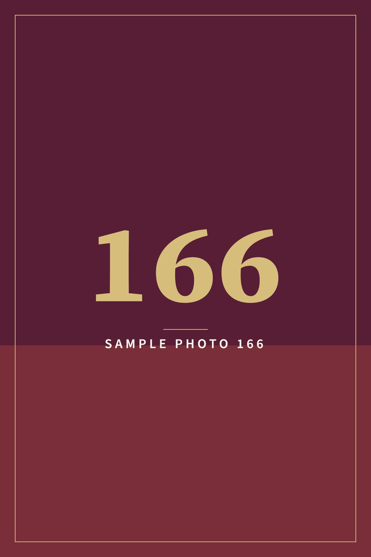 A sample image in the AFCO 5:20 colors that reads Sample Photo 166.