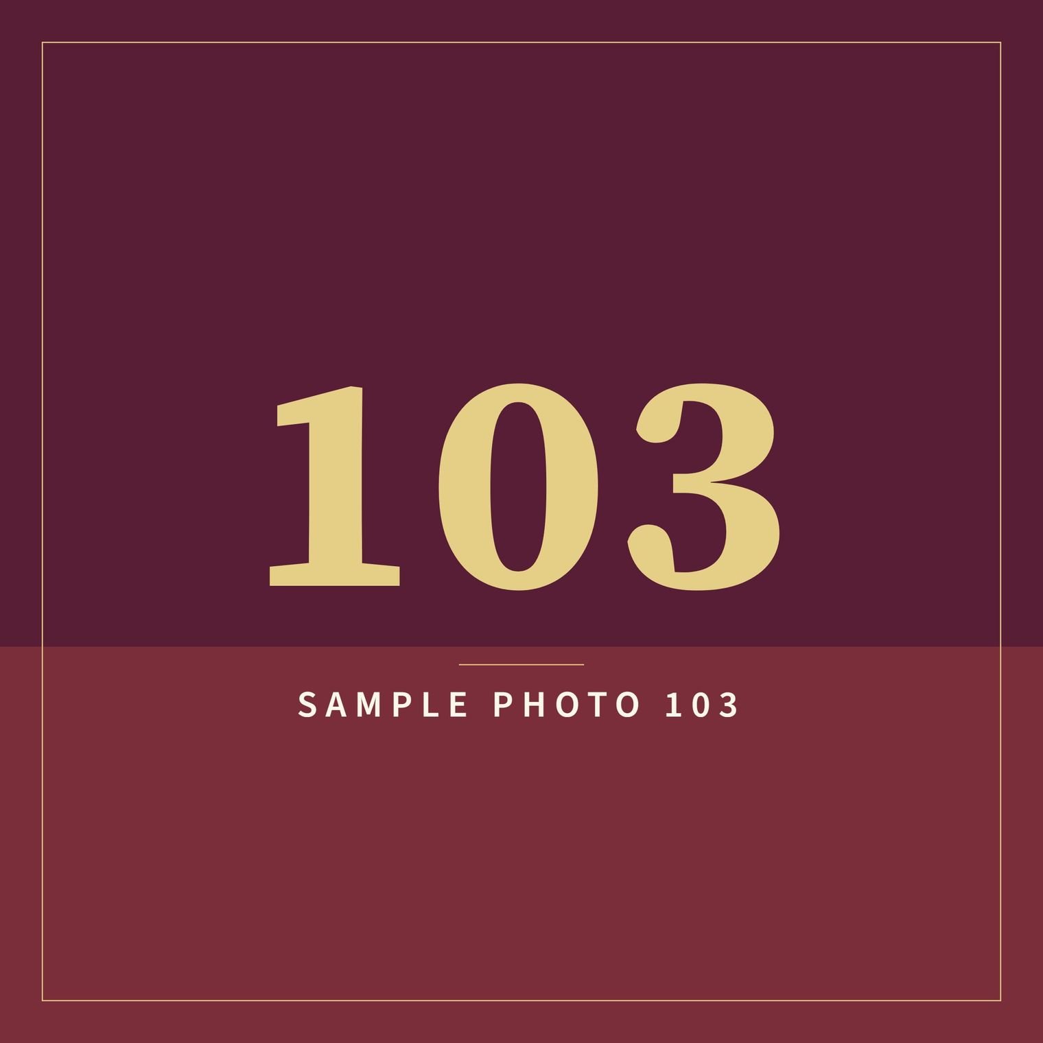 A sample image in the AFCO 5:20 colors that reads Sample Photo 103.