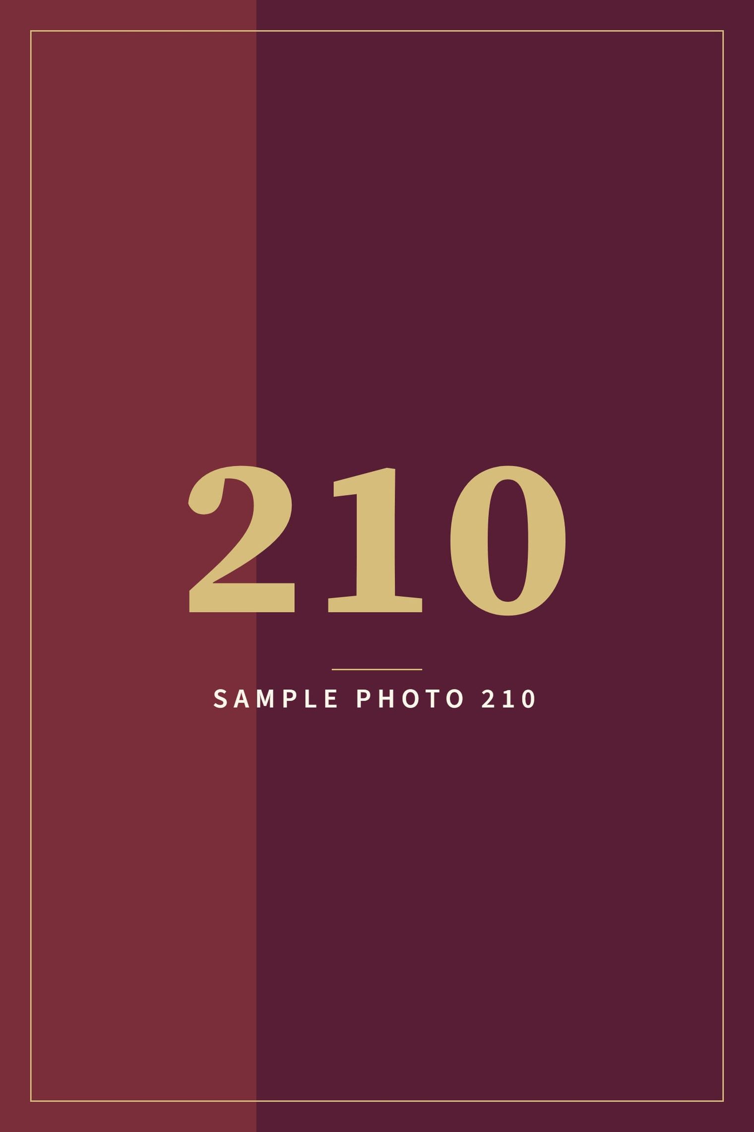 A sample image in the AFCO 5:20 colors that reads Sample Photo 210.