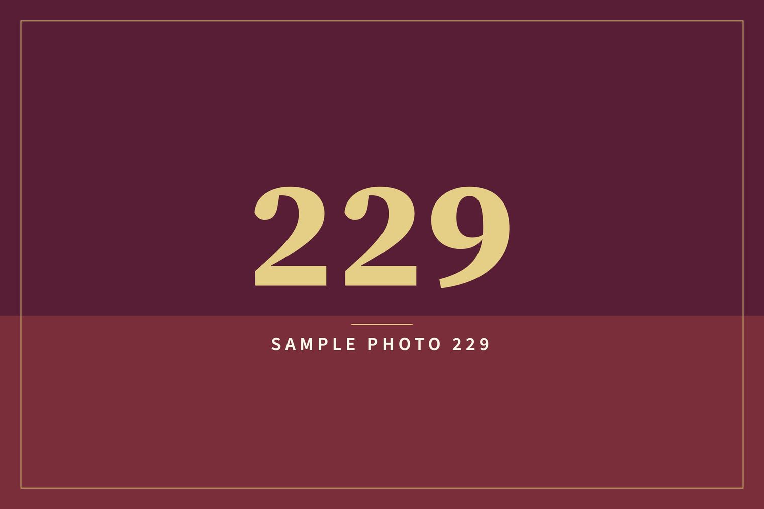 A sample image in the AFCO 5:20 colors that reads Sample Photo 229.