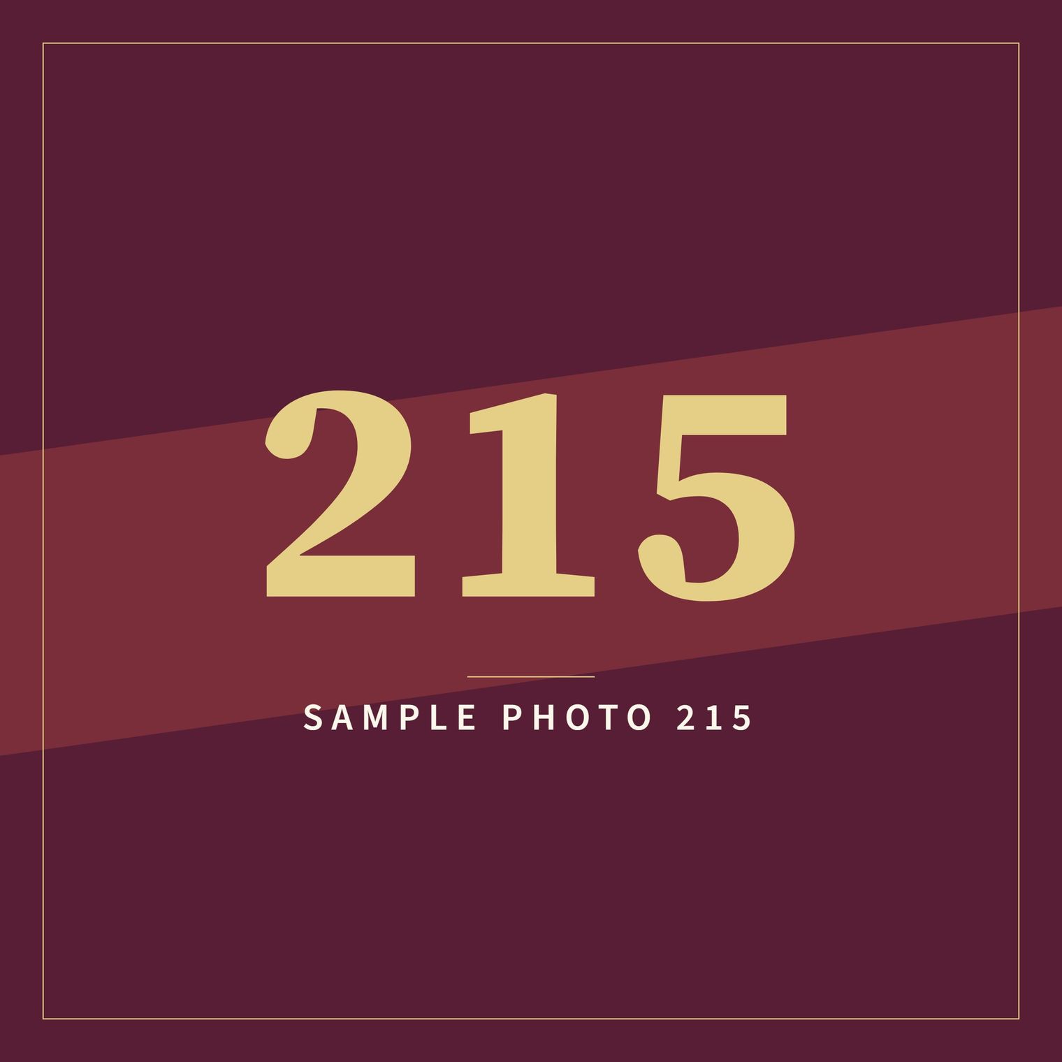 A sample image in the AFCO 5:20 colors that reads Sample Photo 215.