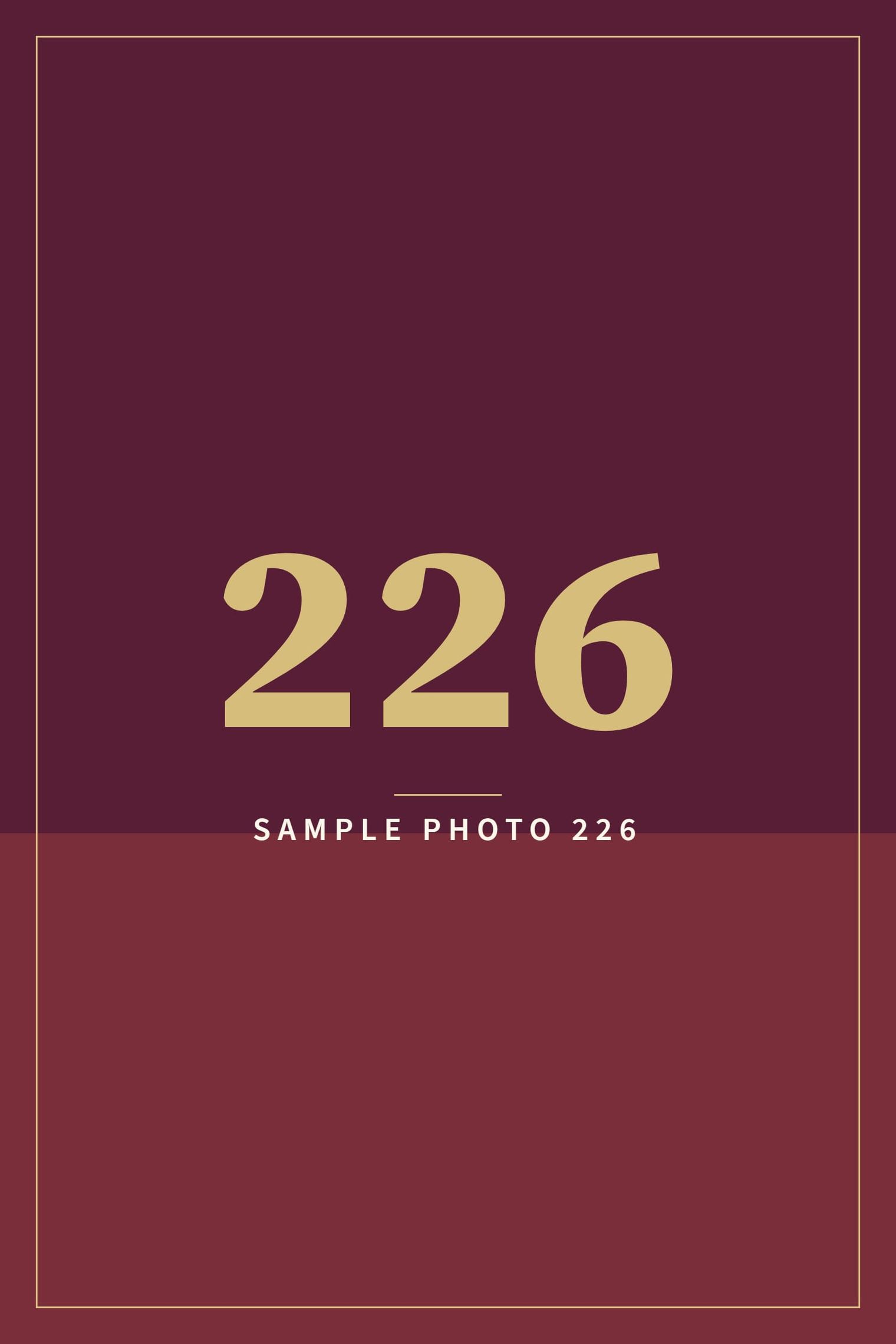 A sample image in the AFCO 5:20 colors that reads Sample Photo 226.