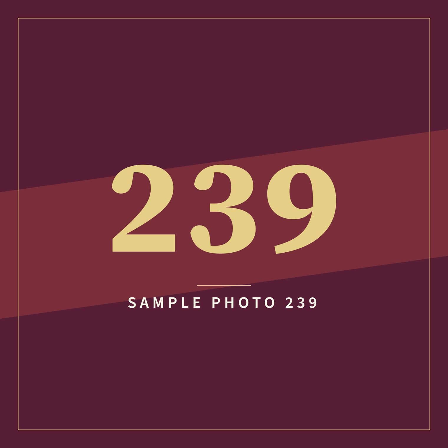 A sample image in the AFCO 5:20 colors that reads Sample Photo 239.