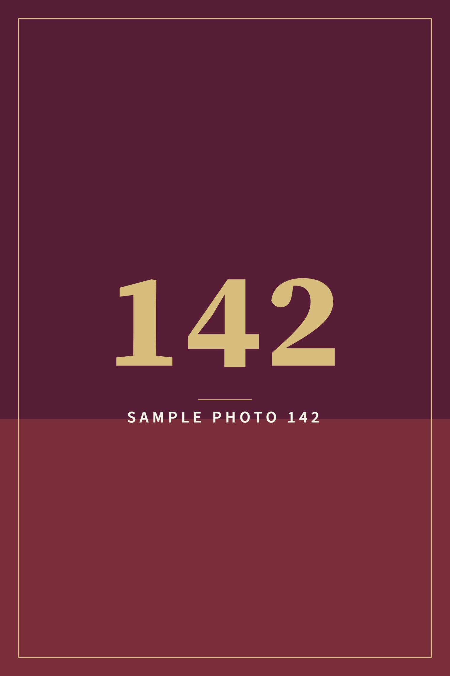 A sample image in the AFCO 5:20 colors that reads Sample Photo 142.