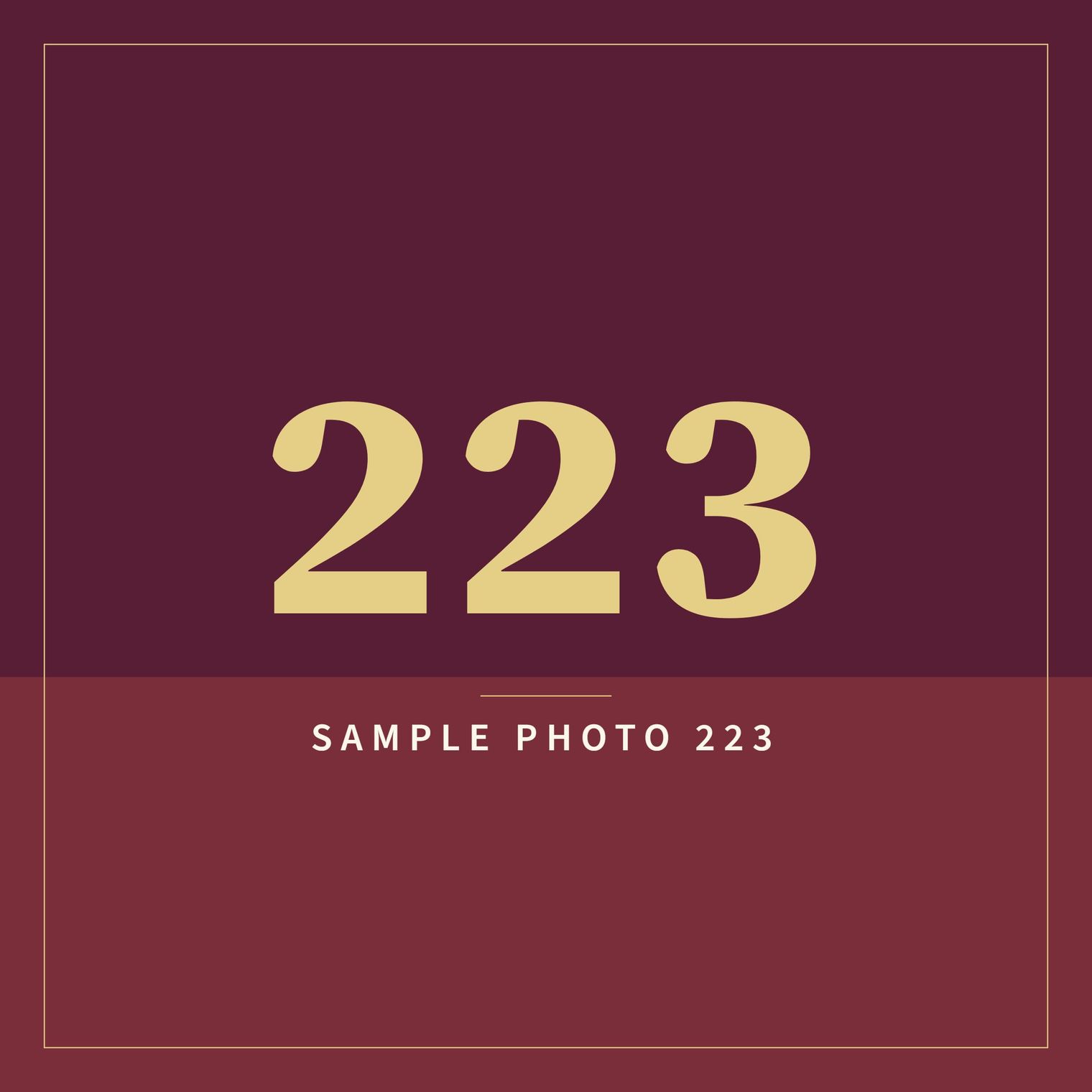 A sample image in the AFCO 5:20 colors that reads Sample Photo 223.