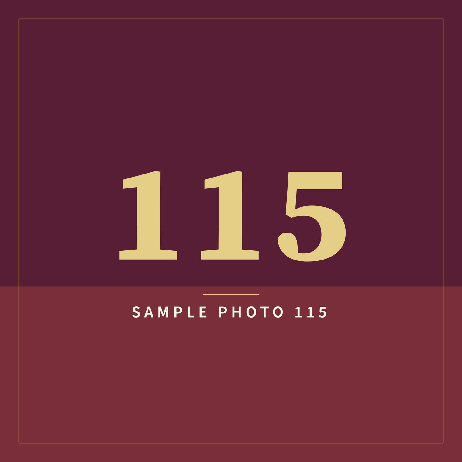 A sample image in the AFCO 5:20 colors that reads Sample Photo 115.